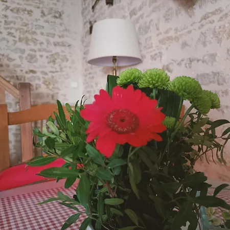 Bed & Breakfast O Le Zen *